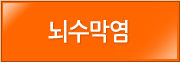 뇌수막염